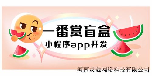 星耀盲盒商城小程序app软件定制开发源码搭建市场稳定吗