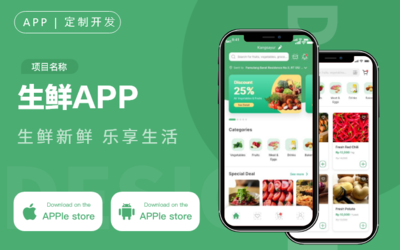 电商APP开发定制公司商城系统二开网站源码外包H5成品